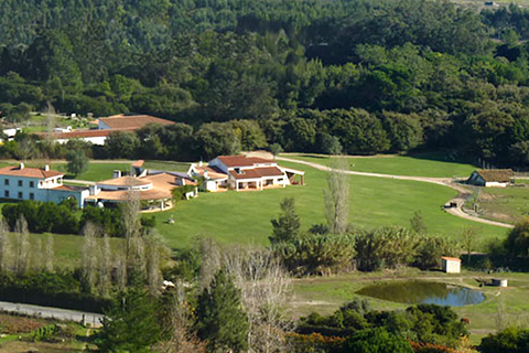 Farm i Obidos, Leiria, Obidos - € 4.500.000 | Ref: MM002410 - foto 3